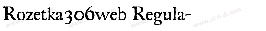 Rozetka306web Regula字体转换